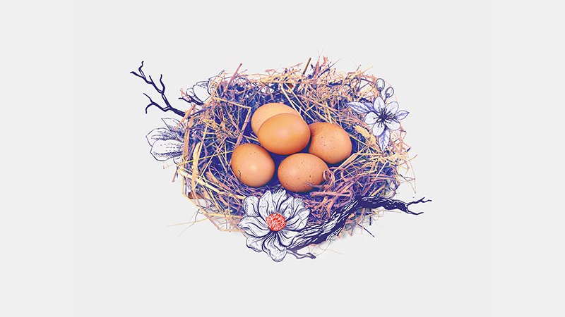 nest